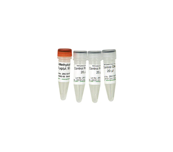 Methylated-DNA IP Kit