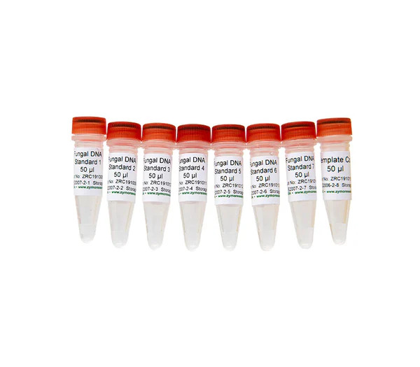 Fungal DNA Standards and No Template Control