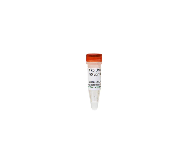 ZR 1 kb DNA Marker